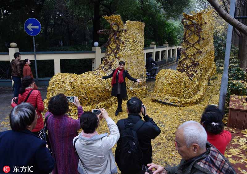 Un enorme par de zapatos de “oro Ginkgo” se expone en Hangzhou, provincia de Zhejiang, 5 de diciembre del 2018. [Foto: IC]