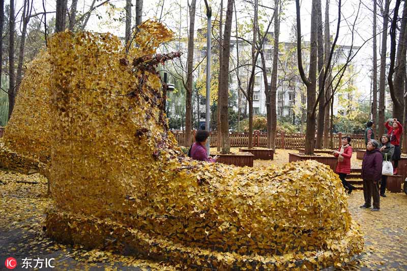 Un enorme par de zapatos de “oro Ginkgo” se expone en Hangzhou, provincia de Zhejiang, 5 de diciembre del 2018. [Foto: IC]