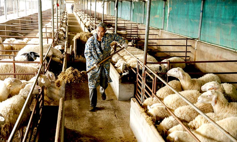 Trabajador reinsertado en el mercado laboral, aldea Yefushan. Foto: Zuo Xuezhang, Diario del Pueblo