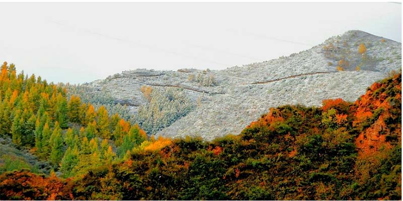 El 29 de septiembre del 2018, el sitio de competencias de los Juegos Olímpicos de Invierno de Beijing en Chongli, exhibe una capa de nieve oto?al que revela toda su belleza natural. (Foto: Du Baihua/ web oficial del Comité de los Juegos Olímpicos de Invierno de Beijing)