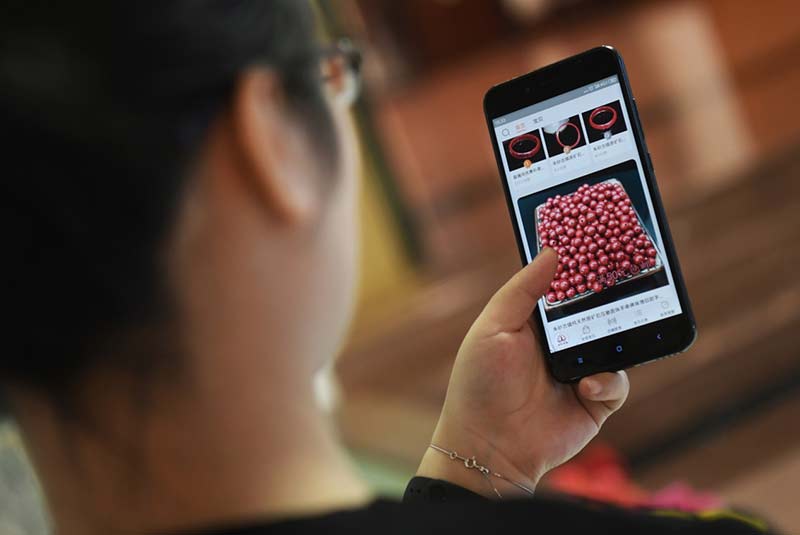 Hua Qian no se olvida de comprobar su tienda de Taobao en su tiempo libre, durante sus días asistiendo como diputada a la APN en Beijing, el 4 de marzo de 2019. Foto: Diario del Pueblo