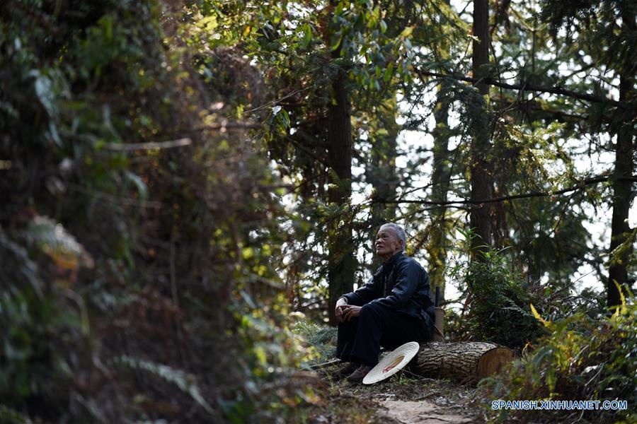 Plantan árboles voluntariamente en monta?as de Guizhou