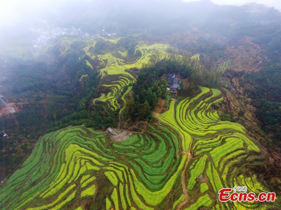 Belleza pastoral en Wuyuan