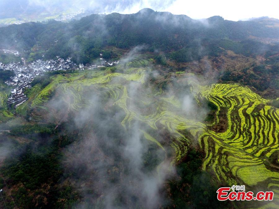 Belleza pastoral en Wuyuan