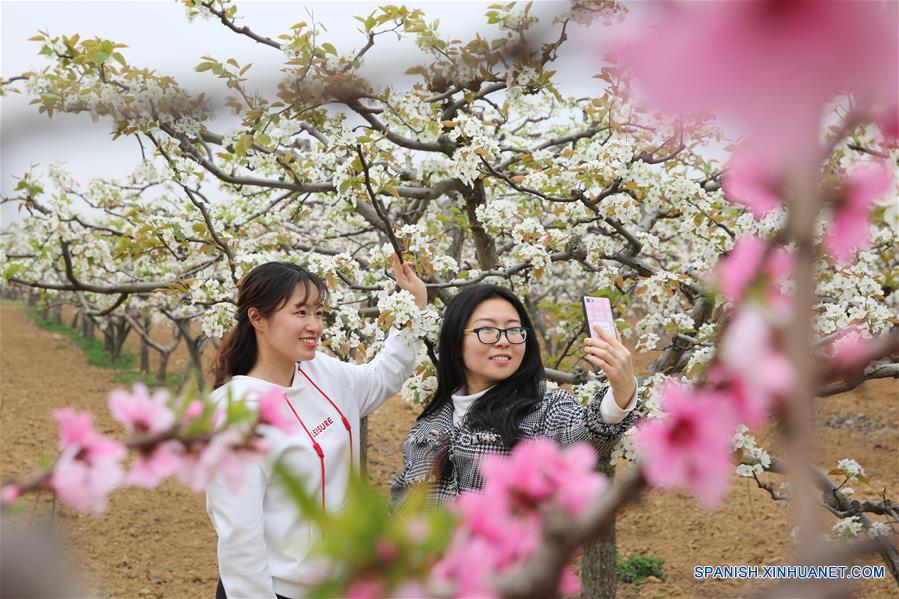 Las flores de durazno en la localidad de Zhuji