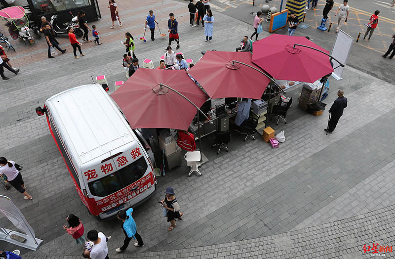 Nueva ambulancia veterinaria debuta en Chengdu