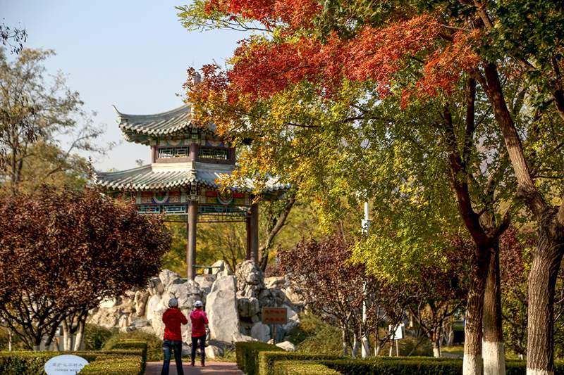 Colores cambiantes del oto?o en Beijing. [Foto: He Jianyong/ Chinadaily]