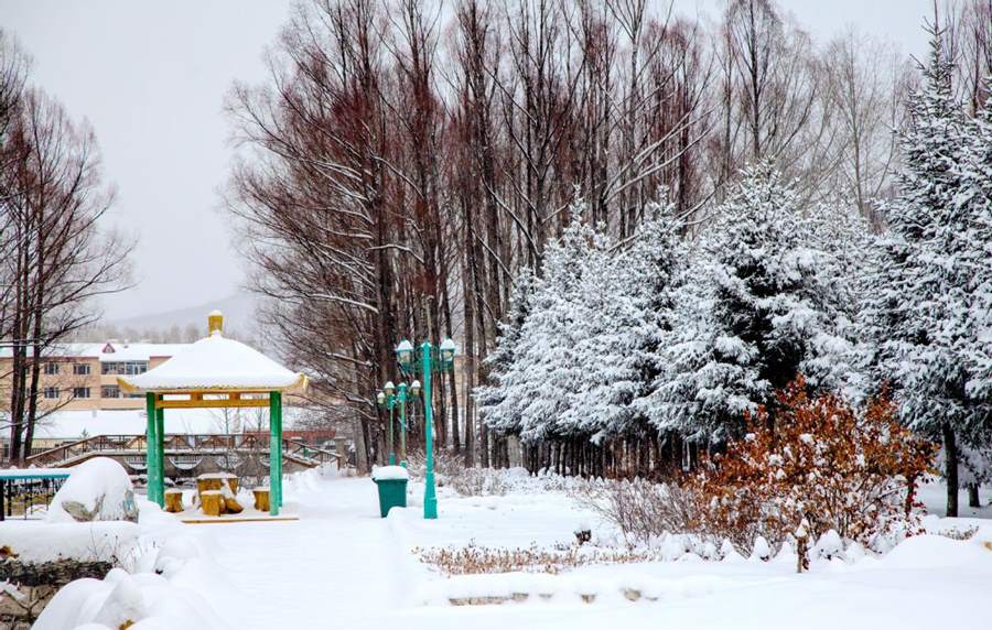 Después de una fuerte nevada, la escarcha de los árboles convirtió el distrito Huzhong en la región de Daxinganling, provincia de Heilongjiang, en un paisaje de ensue?o. [Foto de Feng Hongwei / para chinadaily.com.cn]