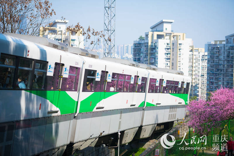 Los trenes circulan rodeados de flores de primavera en Chongqing