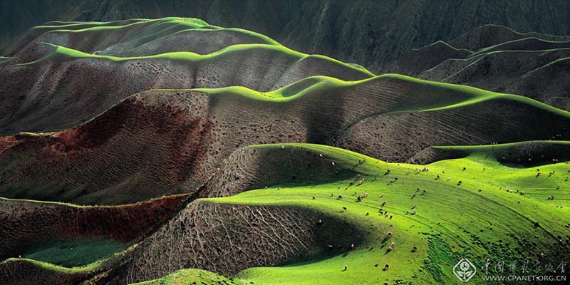 Sabana Kalajun en Tekes, prefectura autónoma de Kazak, Xinjiang. [Foto: Li Xueliang/cpanet.org.cn]