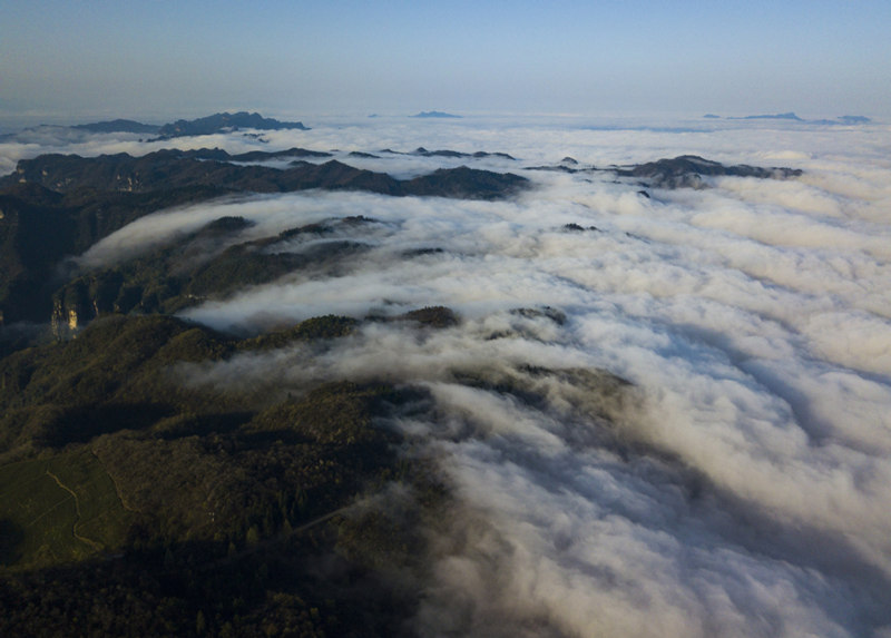 Parque de Zhangjiajie, provincia de Hunan, que ostenta la condición de Patrimonio Natural de la Humanidad, es el primer parque forestal nacional de China. [Foto: Zhou Jianxin/ China Daily]