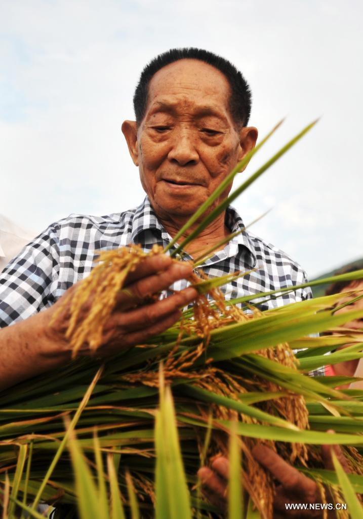 Fallece a los 91 a?os científico chino Yuan Longping, "padre del arroz híbrido"