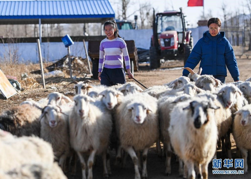 Unas hermanas jóvenes trabajan en el campo para ayudar a su padre enfermo 