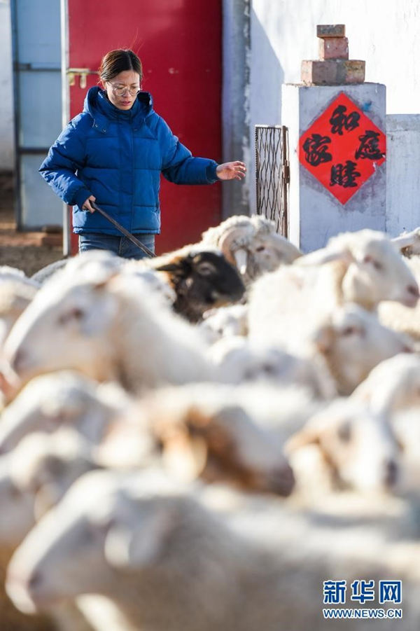 Unas hermanas jóvenes trabajan en el campo para ayudar a su padre enfermo 