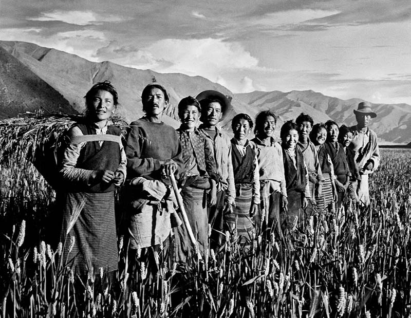 Millones de siervos tibetanos emancipados y organizados dentro de los grupos de ayuda mutua para desarrollar la producción agrícola y animal, agosto de 1963. (Foto: Chen Zonglie)