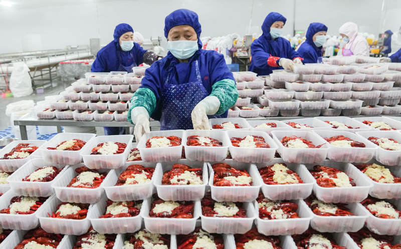 Los empleados procesan cangrejos de río en Huashan Technology Co Ltd en Qianjiang, provincia de Hubei, el 9 de junio de 2021. [Foto / Xinhua]