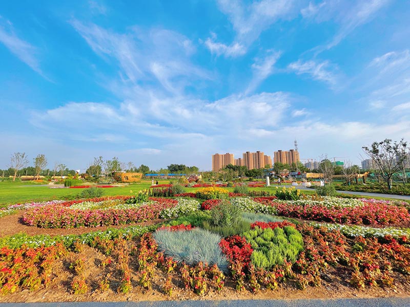 El Jardín Jinan Huazhao, inspirado en el libro “Alicia en el país de las maravillas”, se ha convertido en una atracción turística muy popular en el distrito Licheng de Jinan, provincia de Shandong. [Foto: proporcionada a China Daily]