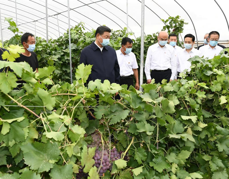 Xi inspecciona distrito noroccidental chino de Suide