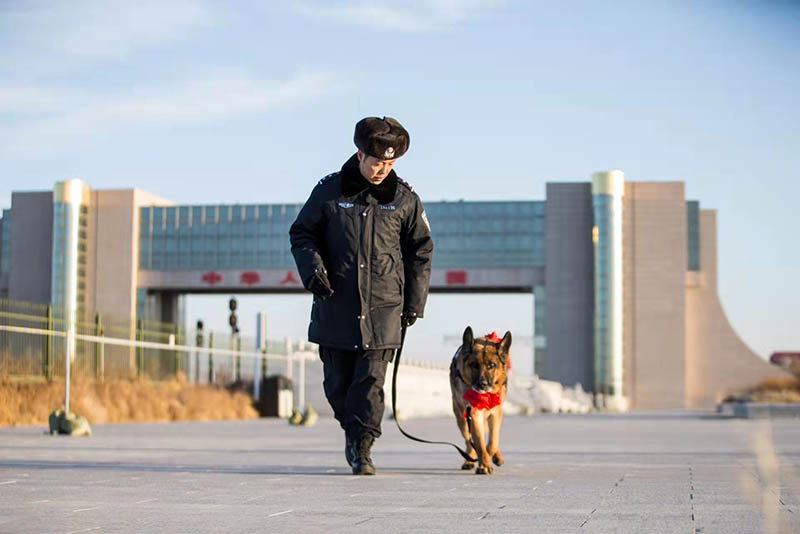 Adiós a 9 perros policía retirados en Mongolia Interior