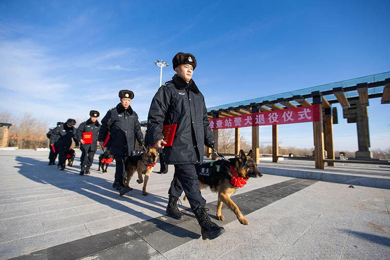 Adiós a 9 perros policía retirados en Mongolia Interior