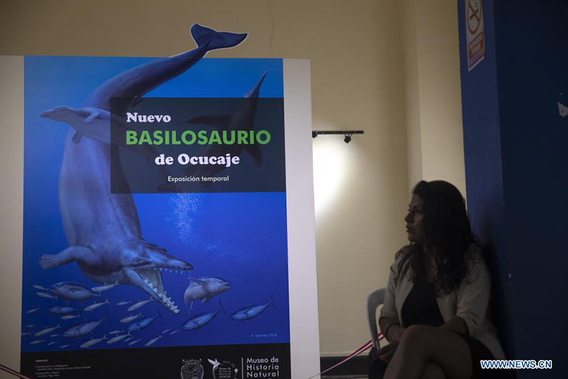 Una empleada del museo custodia el ingreso al Museo de Historia Natural de la Universidad Nacional Mayor de San Marcos (UNMSM) donde los restos fósiles del basilosaurio de Ocucaje son presentados para ser exhibidos, en Lima, Perú, el 17 de marzo de 2022. Paleontólogos del Museo de Historia Natural de la UNMSM presentaron el jueves los restos fósiles del basilosaurio de Ocucaje, un cetáceo que habitó hace 36 millones de a?os los mares de Perú. (Xinhua/Mariana Bazo)