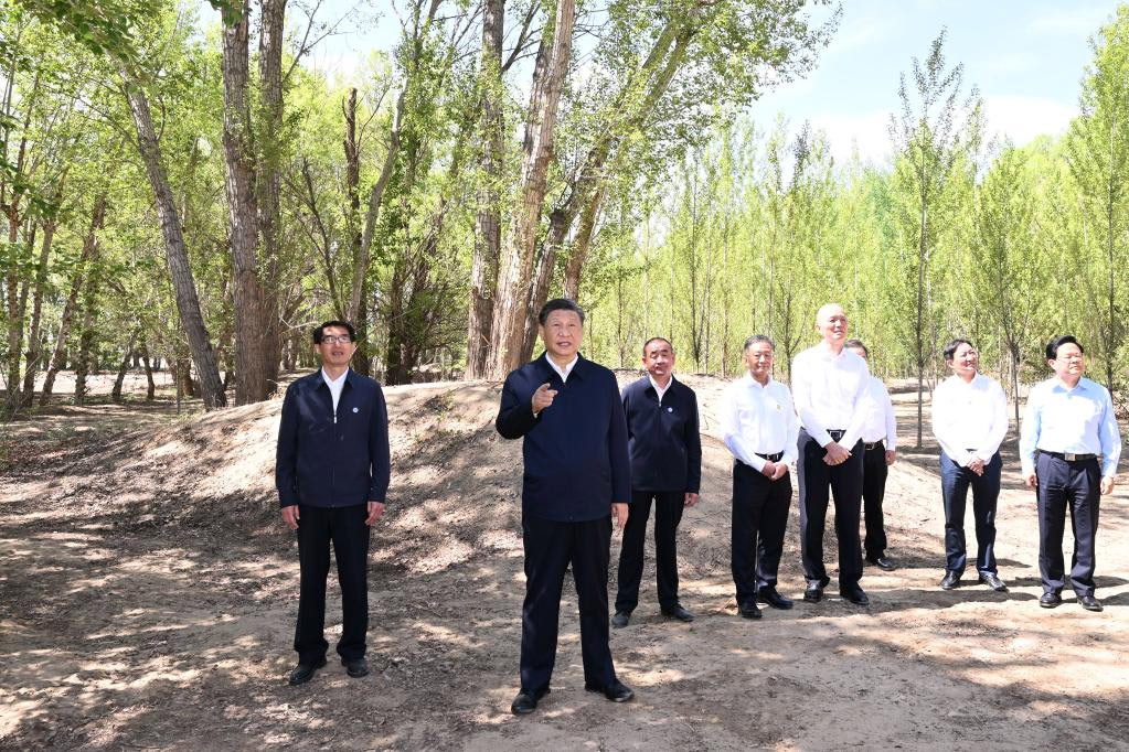 Xi pide esfuerzos sostenidos para crear nuevos milagros en lucha contra la desertificación