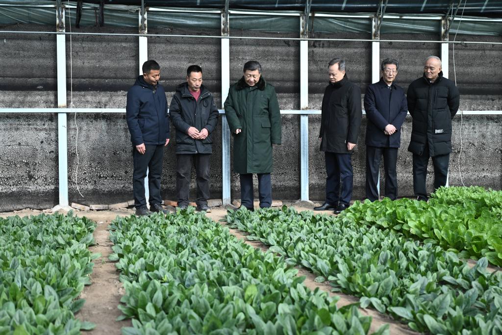 Xi extiende saludos a todos los chinos por la Fiesta de Primavera