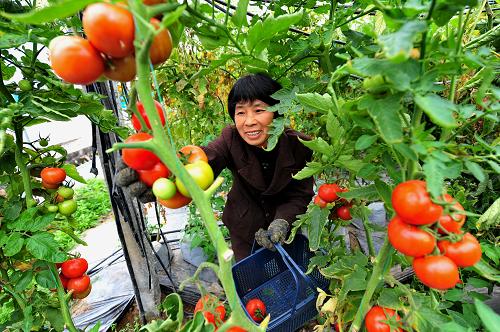 Reforma de China inyecta nuevo vigor a economía